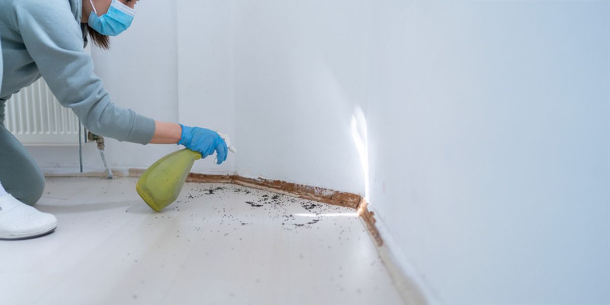 Customized Pest Control Treatments