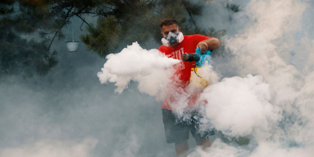 Why Seasonal Pest Control Needs to Be Ongoing