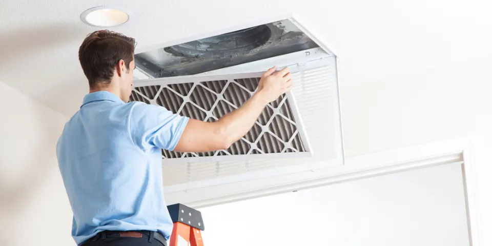 Vent Sealing Prevents Reinfestation