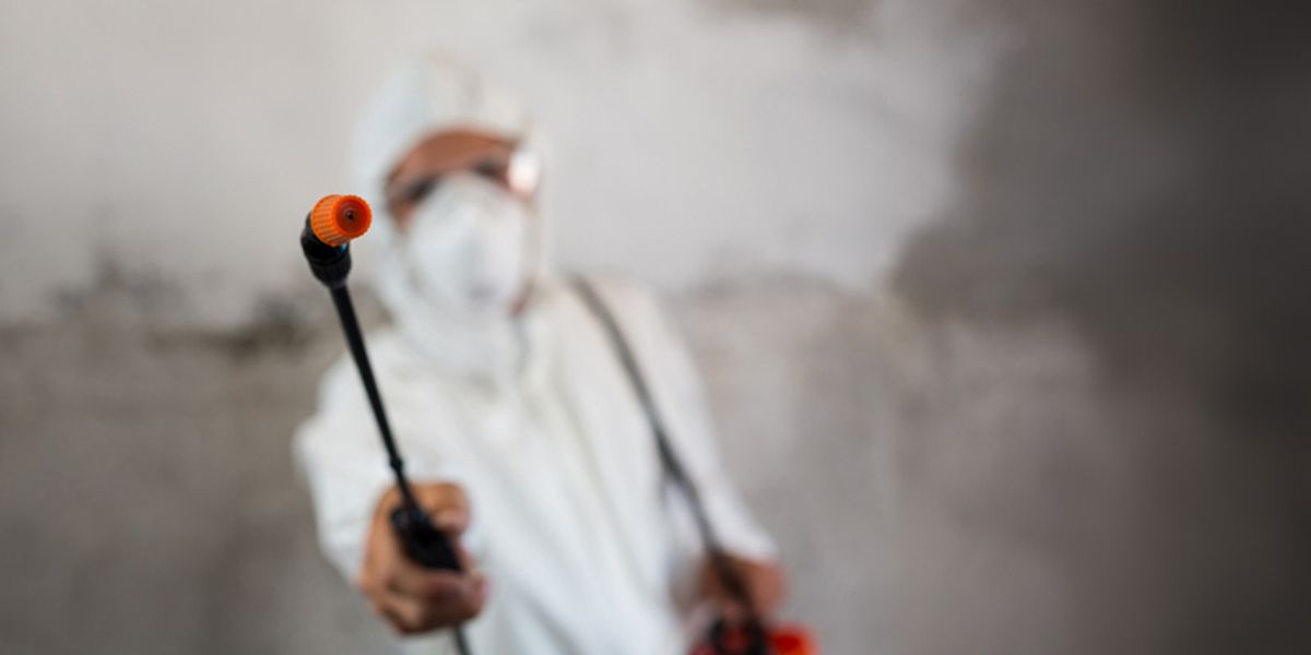 Reason 1- Expertise and Experience