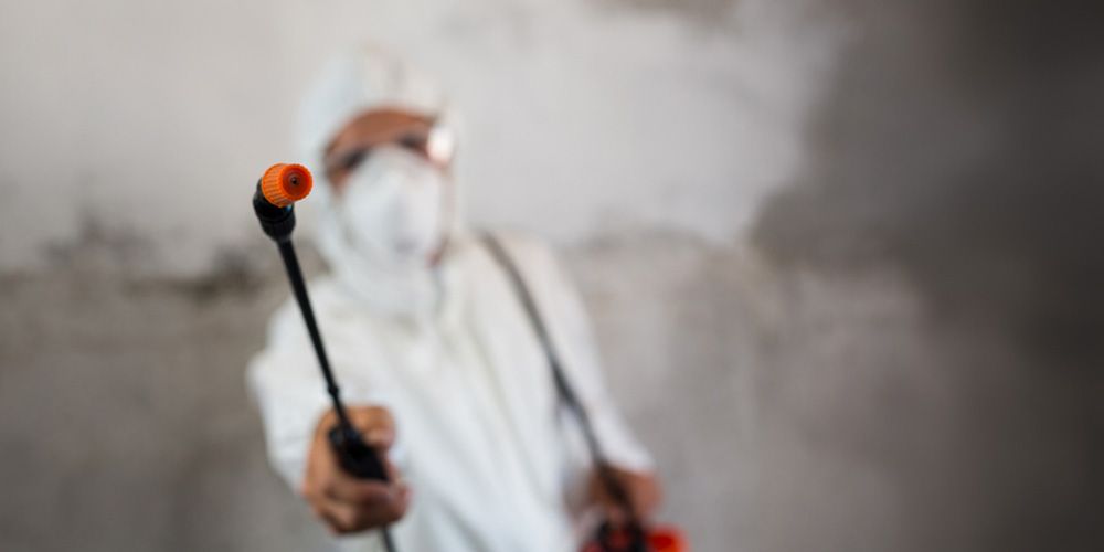 Reason 1- Expertise and Experience