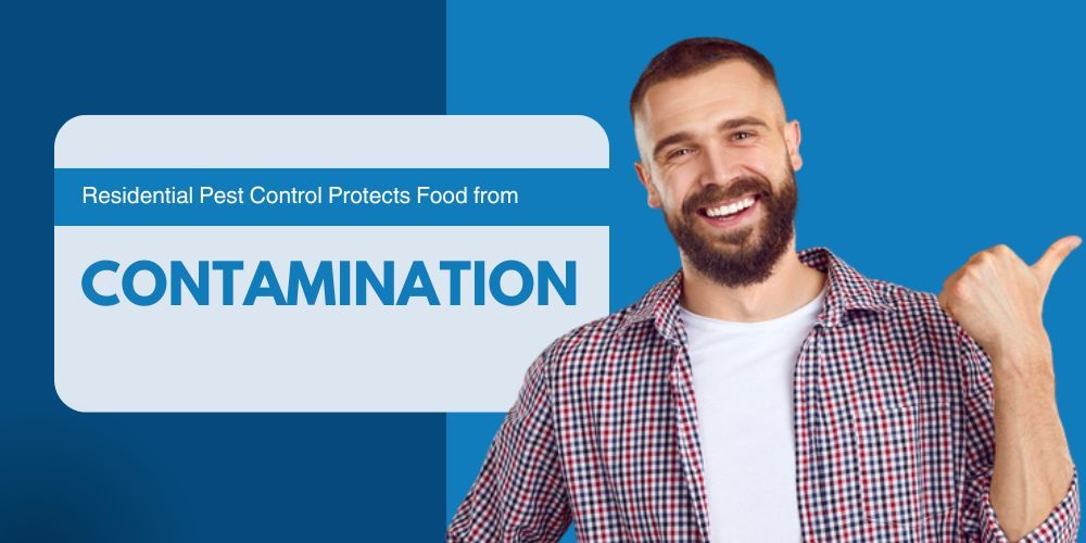 Residential Pest Control Protects Food from Contamination