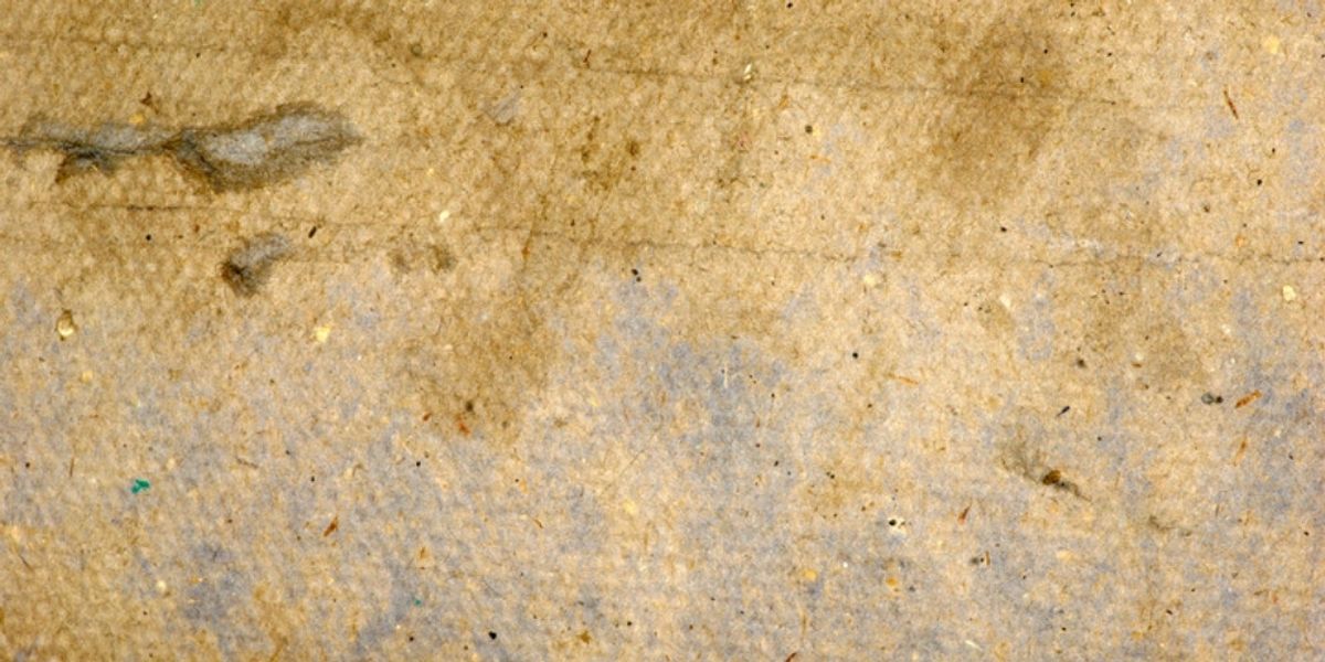 How to Identify Bed Bug Fecal Matter