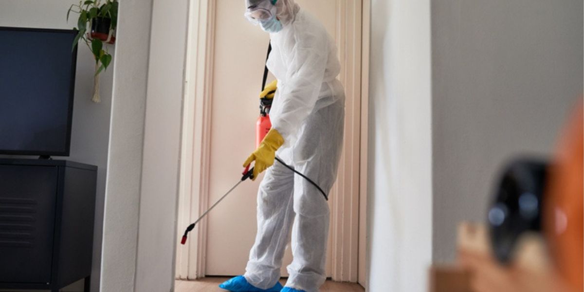 Mite Treatment - Preventive Measures