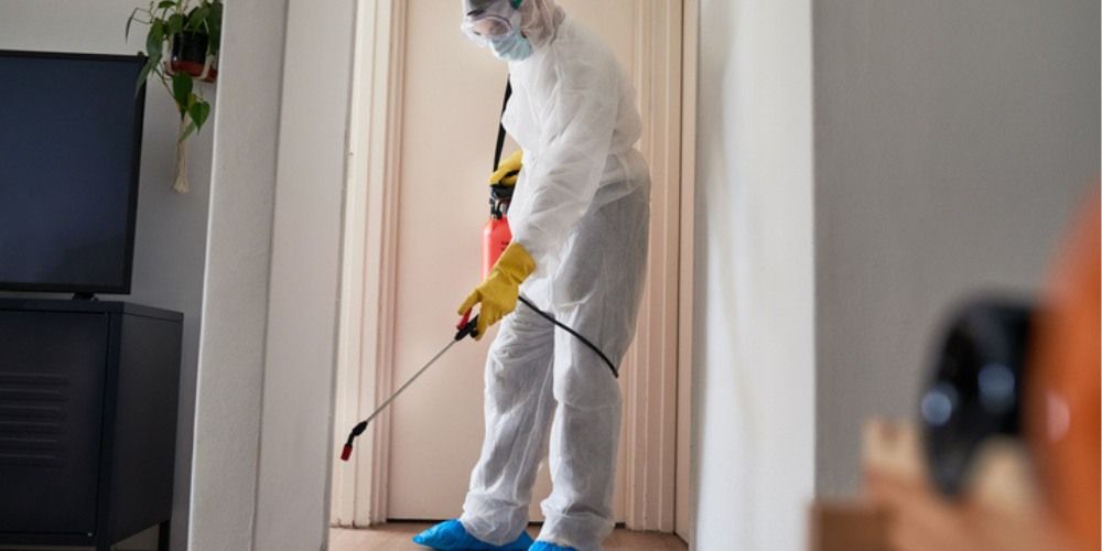 Mite Treatment - Preventive Measures