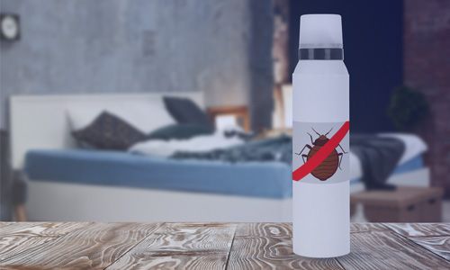 What-Are-the-Best-Heat-Treatment-Methods-for-Bed-Bugs-