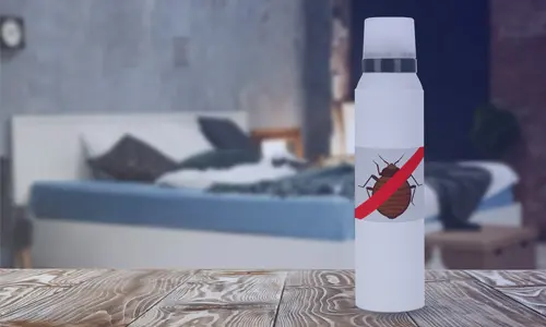 What-Are-the-Best-Heat-Treatment-Methods-for-Bed-Bugs-