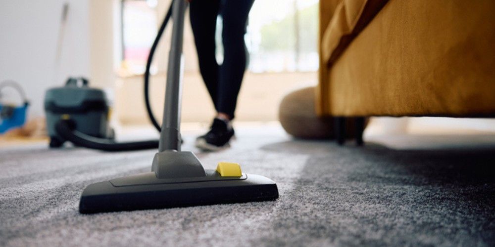 Moth Control - Clean and Declutter Regularly