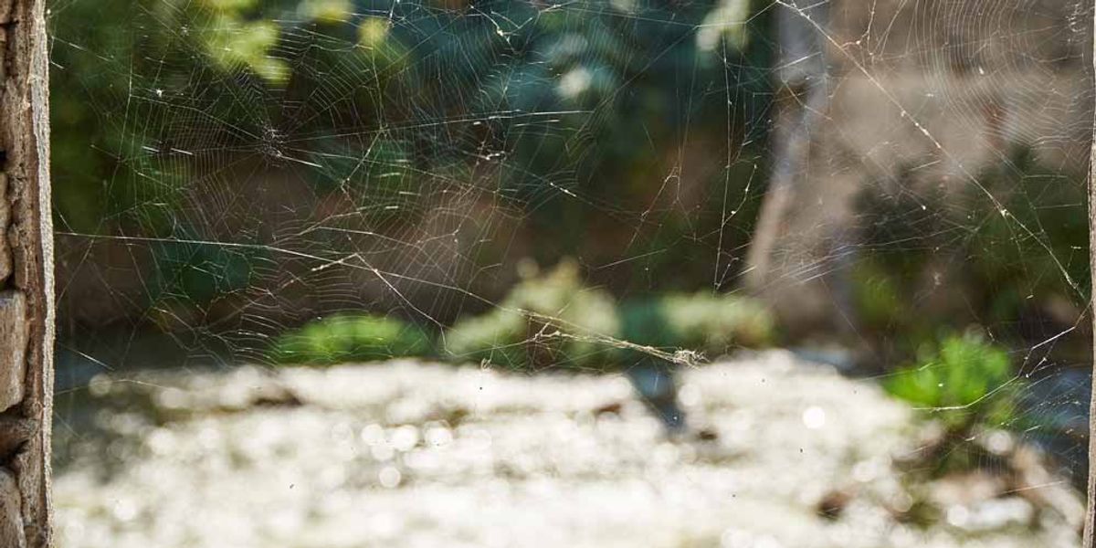 Strategy 9- Ongoing Monitoring