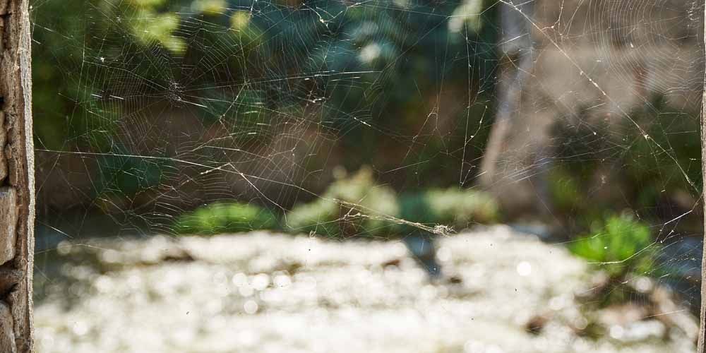 Strategy 9- Ongoing Monitoring