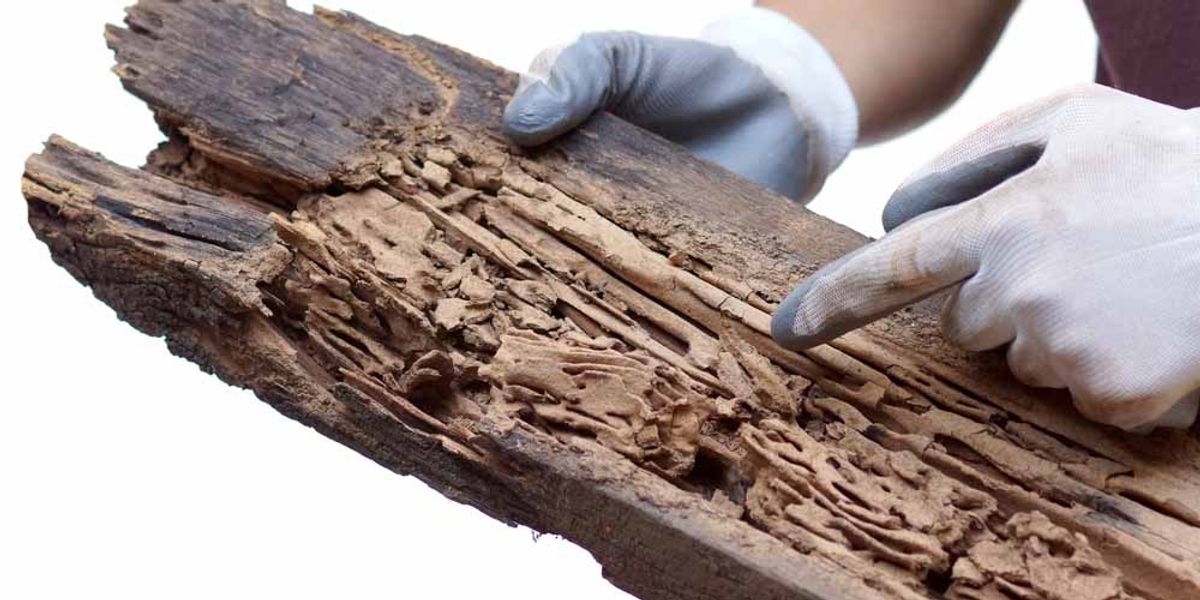 Sustainability and Environmental Considerations