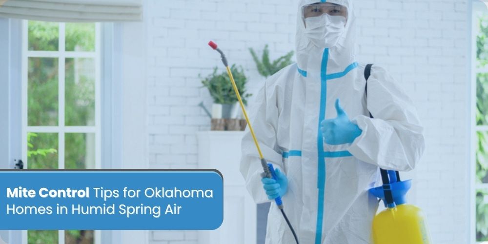 Mite Control Tips for Oklahoma Homes in Humid Spring Air