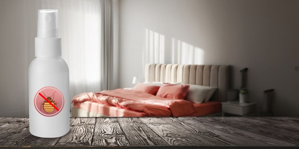 Mastering DIY Bed Bug Control in Claremore, OK