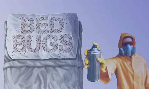 Pest-Control-The-Traditional-Method-for-Eliminating-Bed-Bugs-
