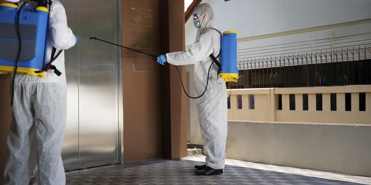 Why Choose Professional Pest Control in Tulsa?