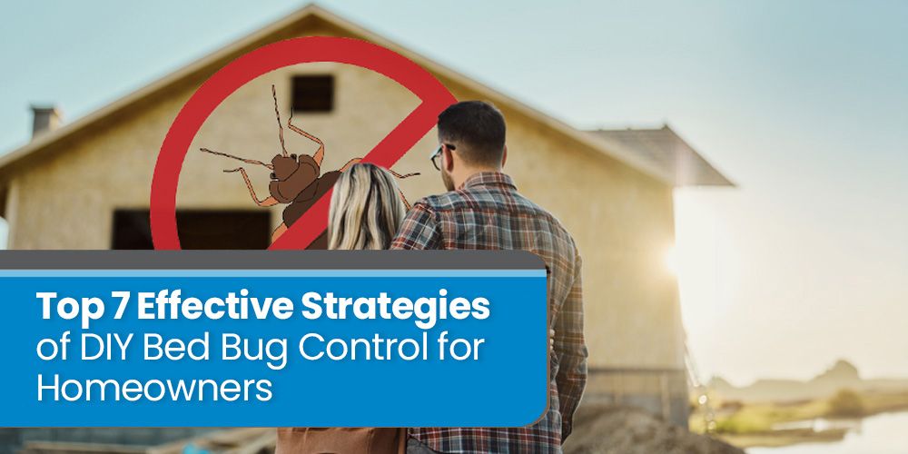 Top 7 Effective Strategies of DIY Bed Bug Control for Homeowners