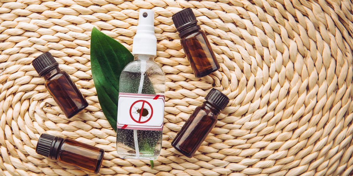 Essential Oils as Repellents - Bed Bug Control
