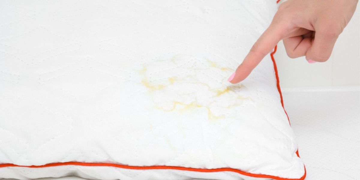 Bed Bugs - Why You Shouldn’t Ignore the Signs