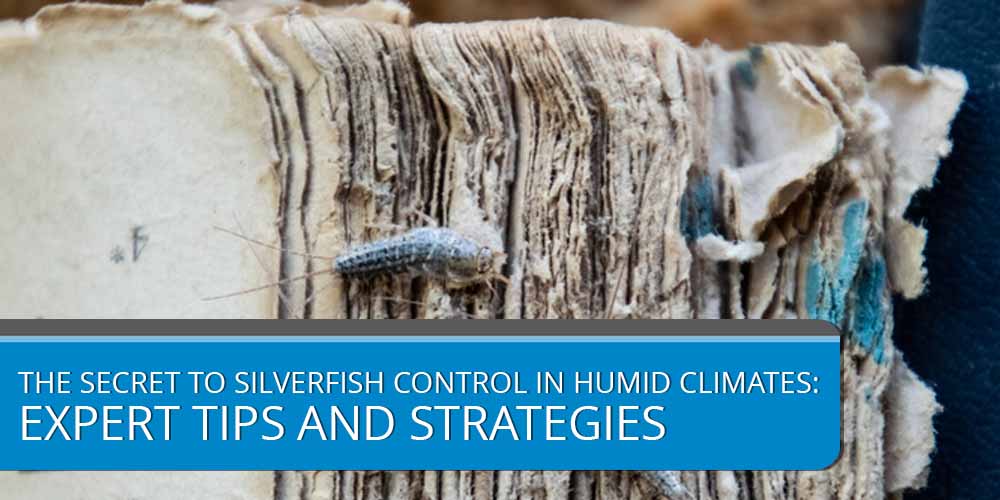 The Secret to Silverfish Control in Humid Climates- Expert Tips and Strategies