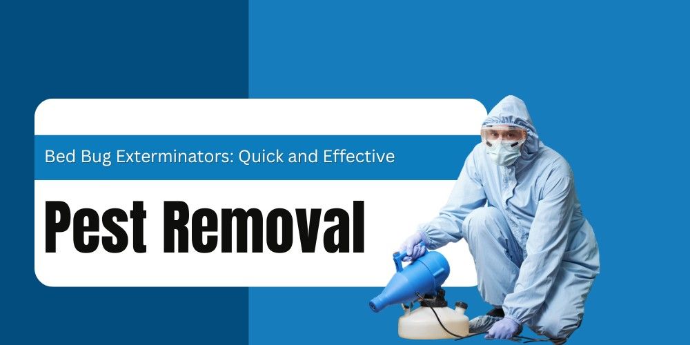 Technician_in_protective_suit_performing_bed_bug_pest_removal_with_fogging_equipment_text_Pest_Removal_Bed_Bug_Exterminators_Quick_and_Effective