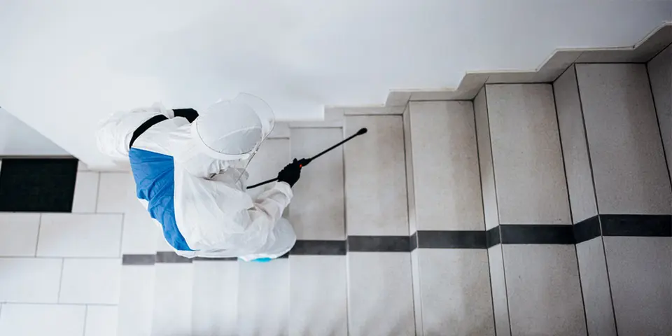 Be Aware of the Misconceptions About Same-Day Pest Control