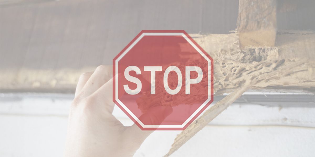 The Benefits of Same-Day Pest Control