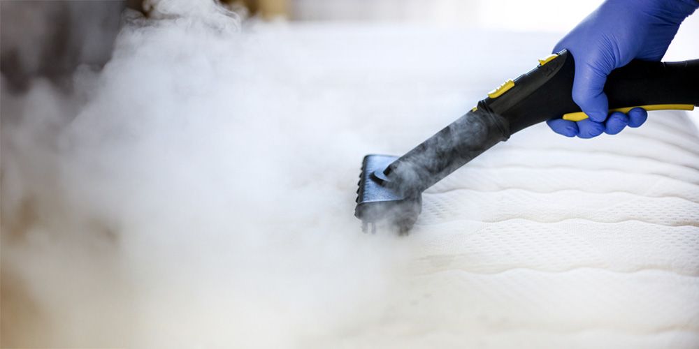 Step 2- Choosing Bes Bug Heat Treatment Service Provider