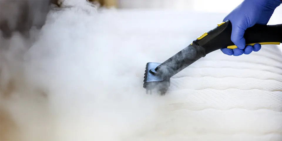 Step 2- Choosing Bes Bug Heat Treatment Service Provider