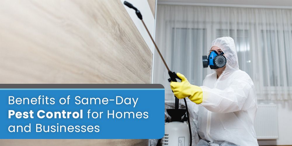 Benefits of Same-Day Pest Control for Homes and Businesses