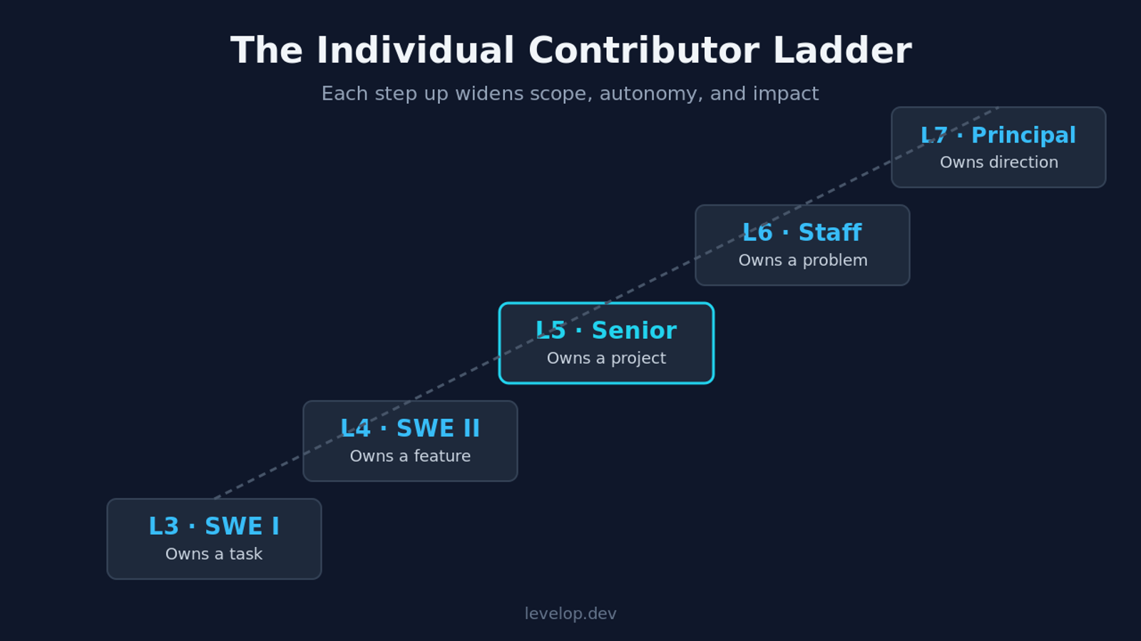 Software engineer levels ladder from L3 junior to L7 principal