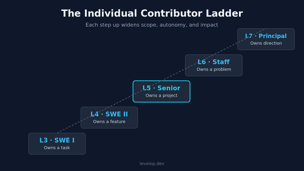 Software engineer levels ladder from L3 junior to L7 principal