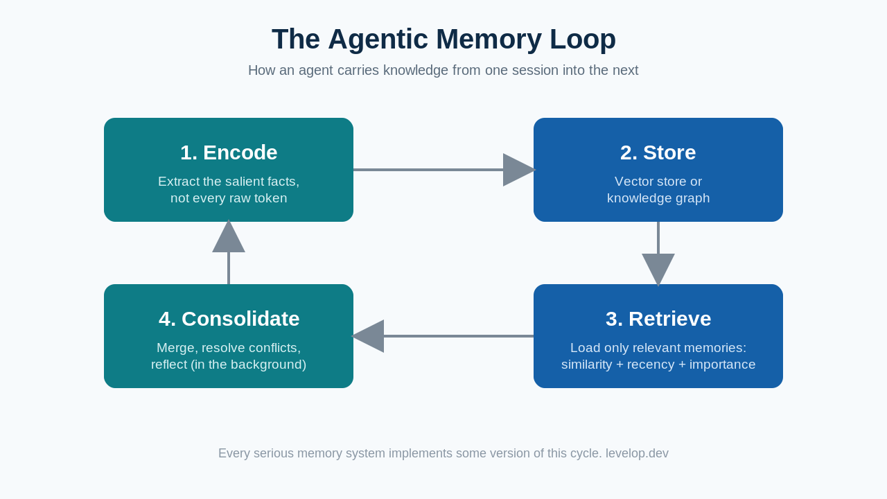 The agentic memory loop: encode, store, retrieve, and consolidate