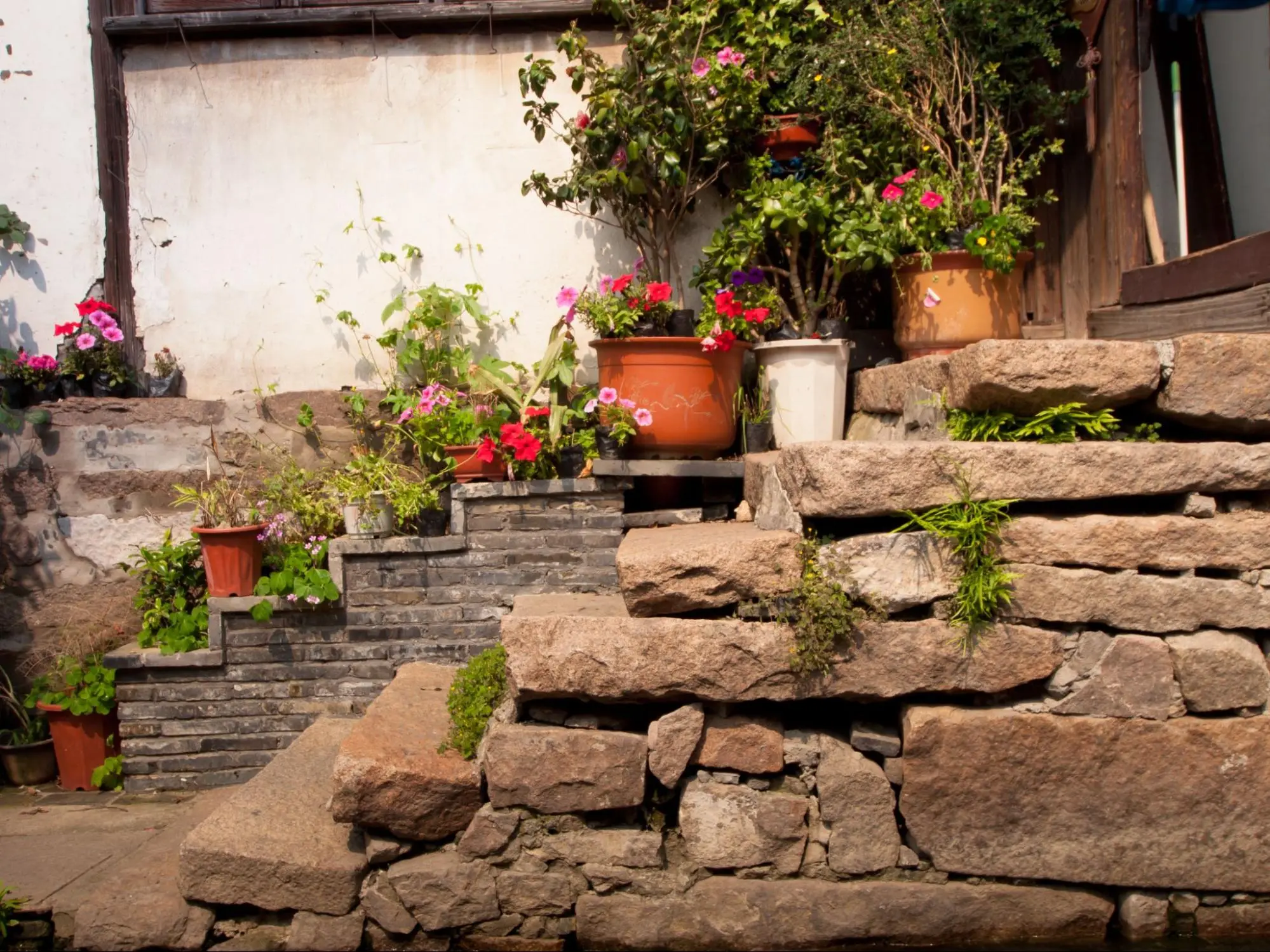 sandstone-home-garden สวนหินทราย