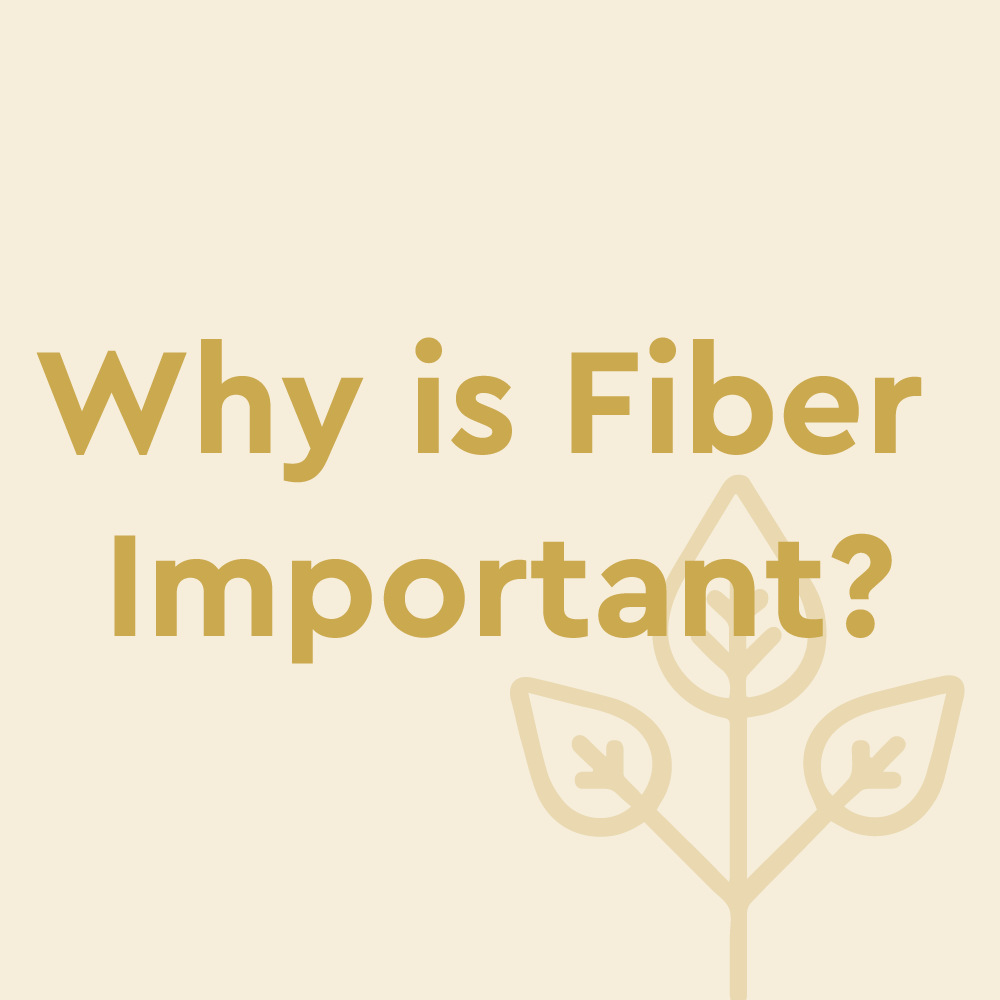 why-is-fiber-important