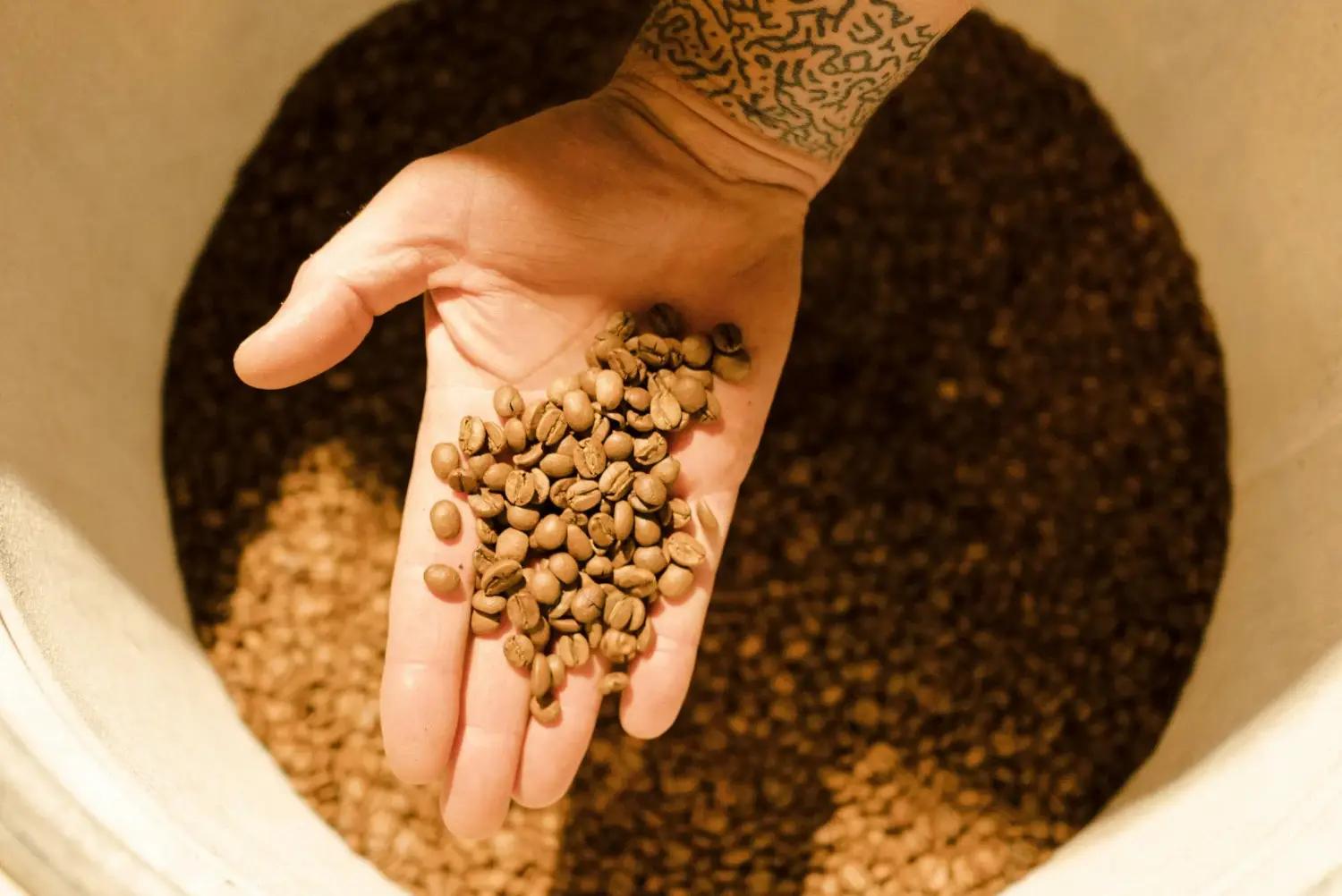 Starting an Organic Coffee Roastery: What to Consider