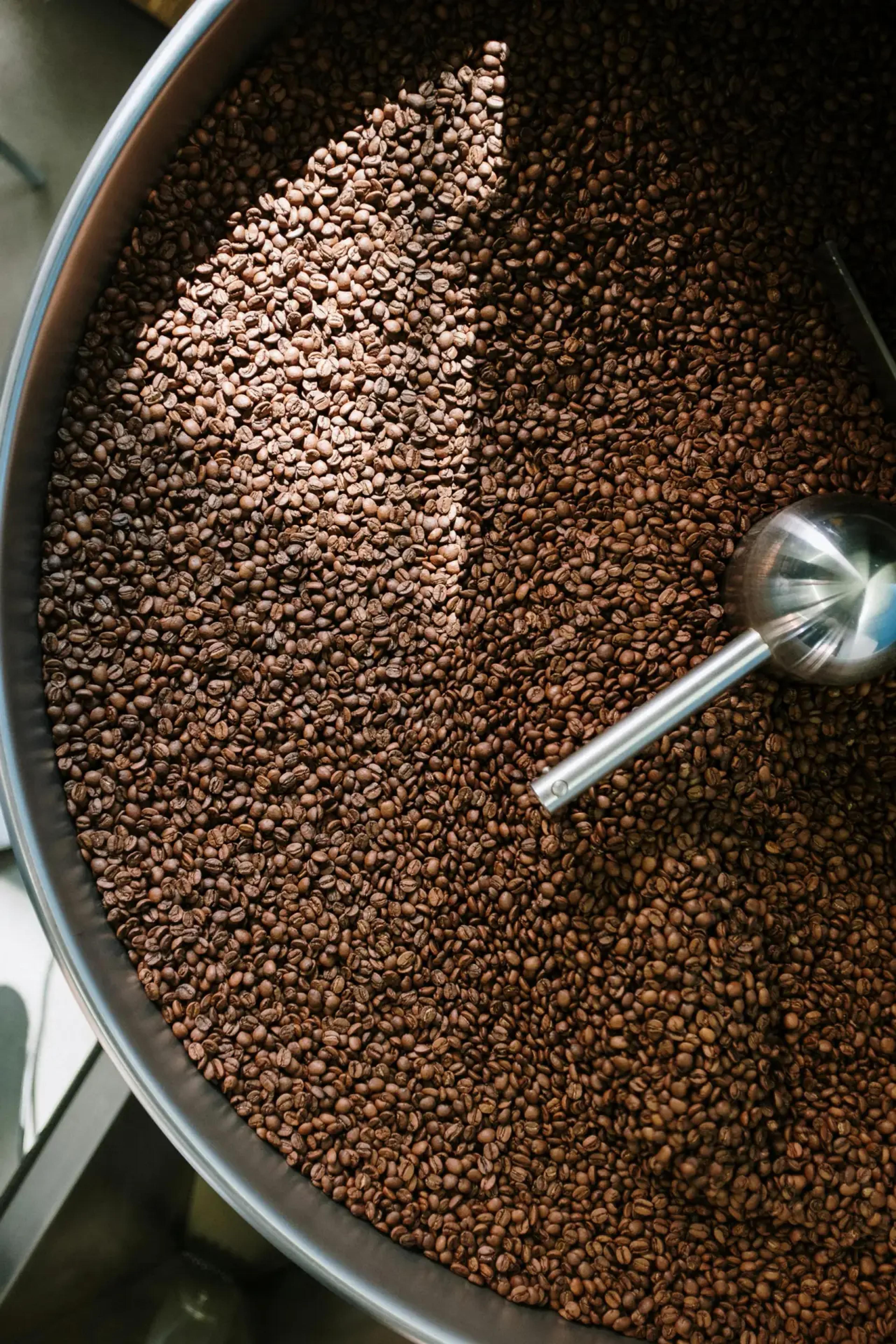 Coffee beans in a roaster's drum during a training session