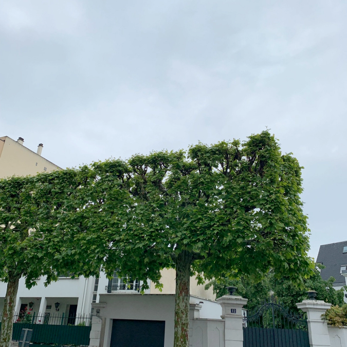 Somewhere in Paris
