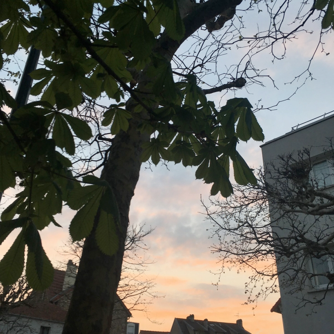 Somewhere in Paris