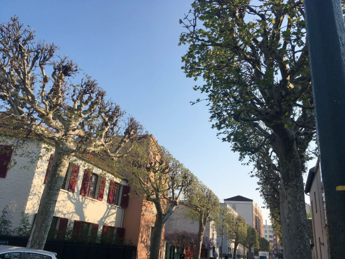Somewhere in Paris