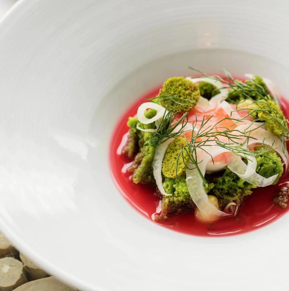 A plated dish in a wide white bowl: cured fish, fennel ribbons, dill and green sponge in a red broth.