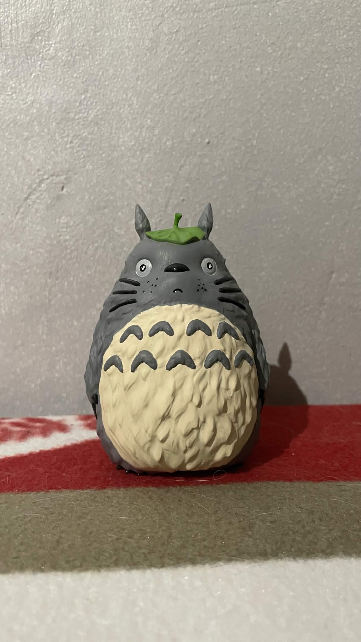 Totoro - vue principale