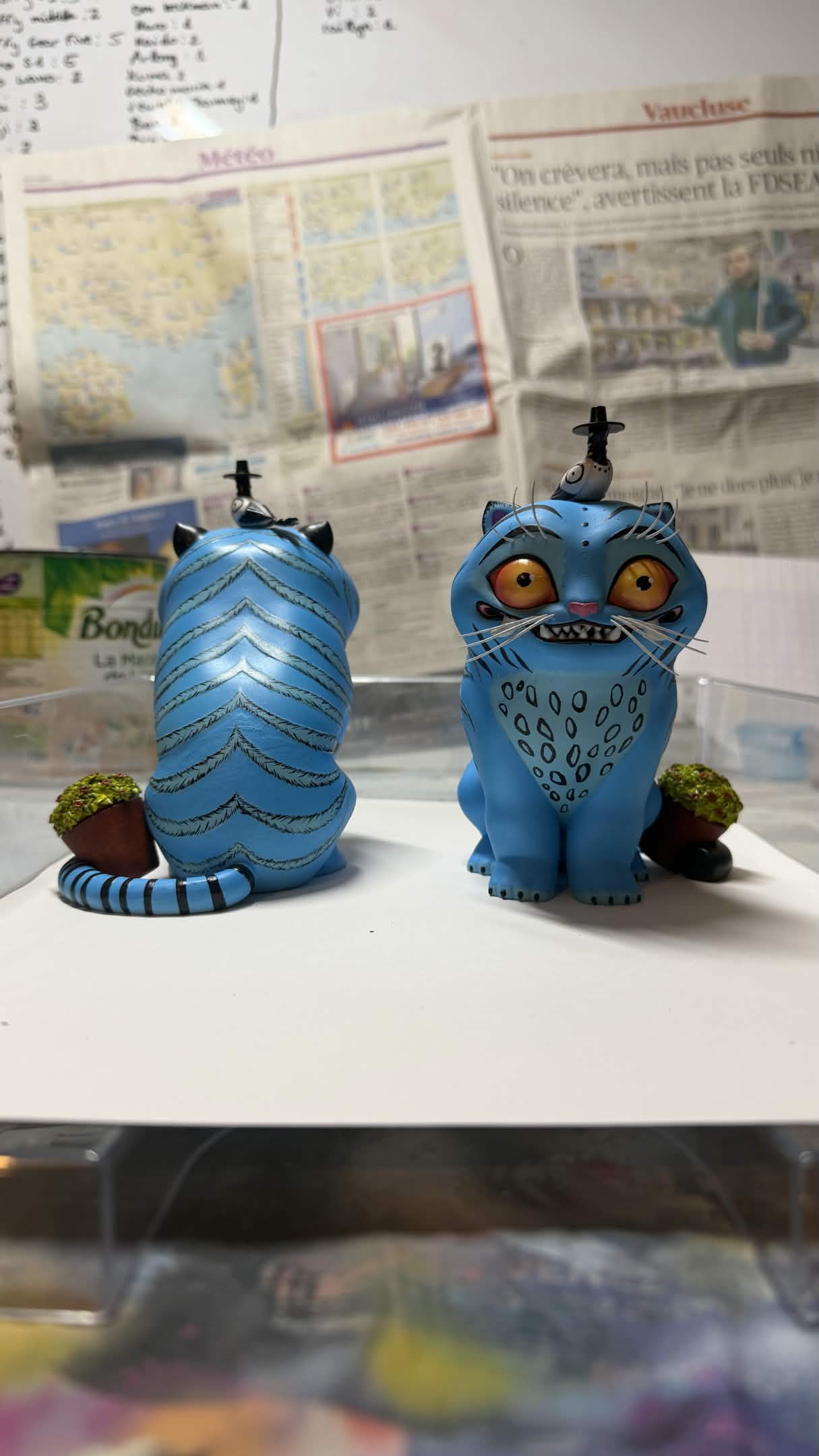 Derpy & Magpies - vue principale