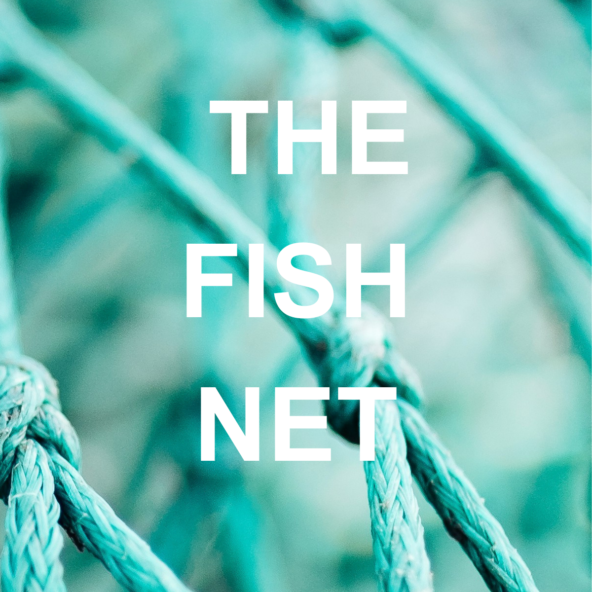 Our Newsletter
