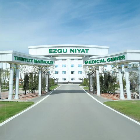 EZGU NIYAT