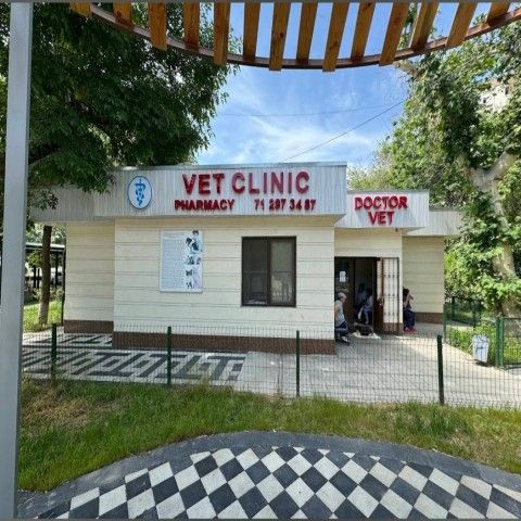 Doctor Vet