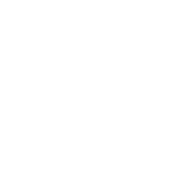 SMS
