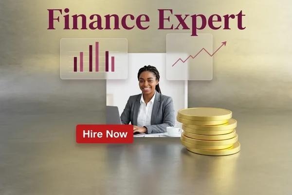 Hire-A-Finance-Expert-With-Alltalentz