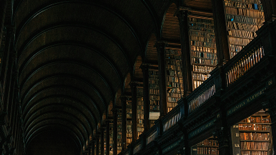 Digital Literacy 101: Free Workshops Coming Soon!