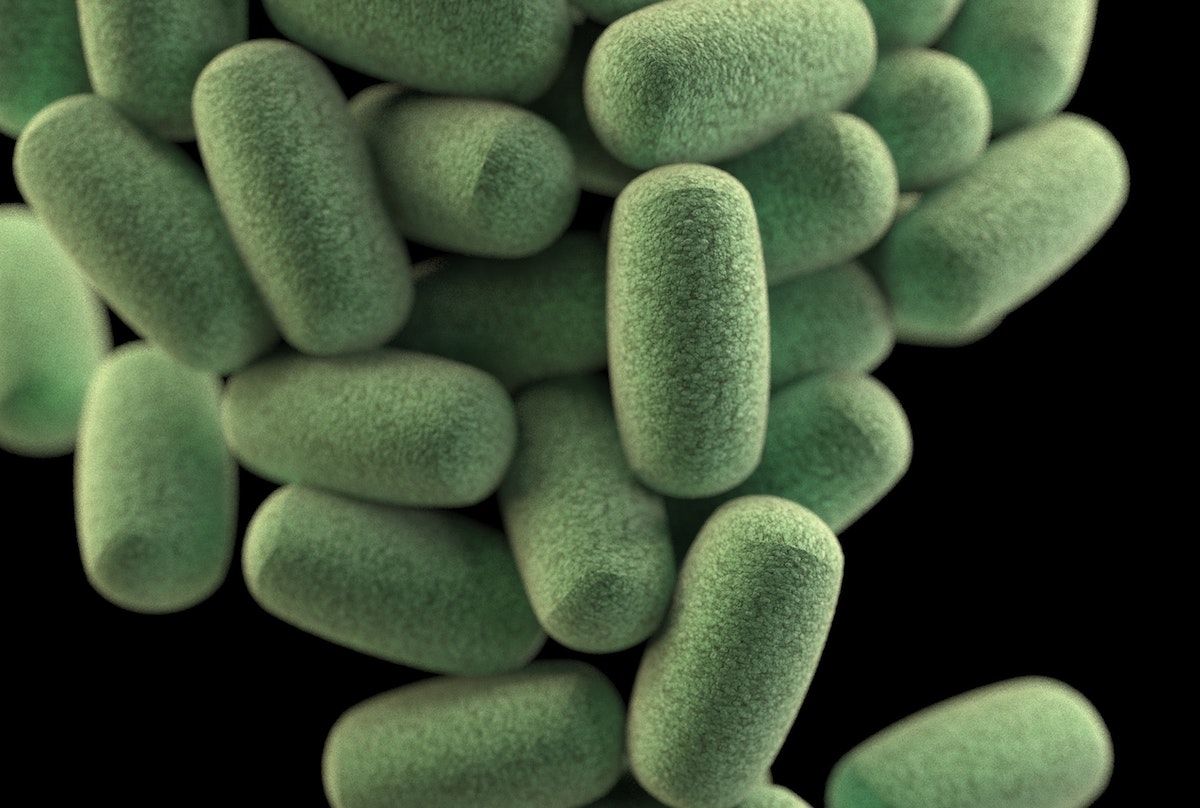 Making ideas work for a better world screenshot