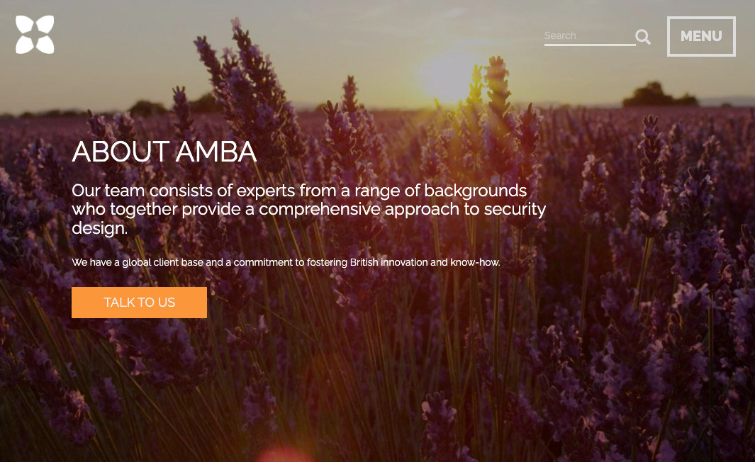 B2B Web Design screenshot